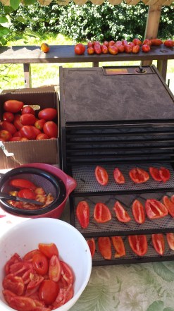 20140907_114750_5_bestshot