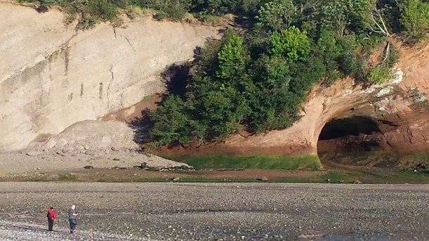 Just left of the sea caves that all tourists can see and enjoy is an important "contact" of two different geologic formations -- the light colored Quaco, and the red Honeycomb Point formation. The shrubs and foliage growing along the diagonal contact disguise it during warm months...