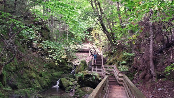 fundyparkbeautyplace1