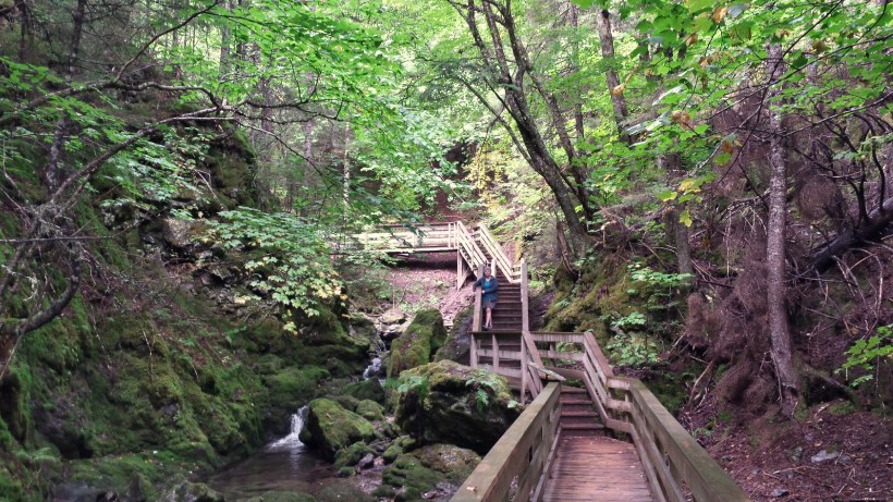 fundyparkbeautyplace1